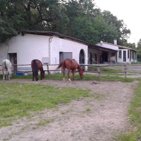 PaillolesFerme Equestre Des Abrons别墅 外观 照片