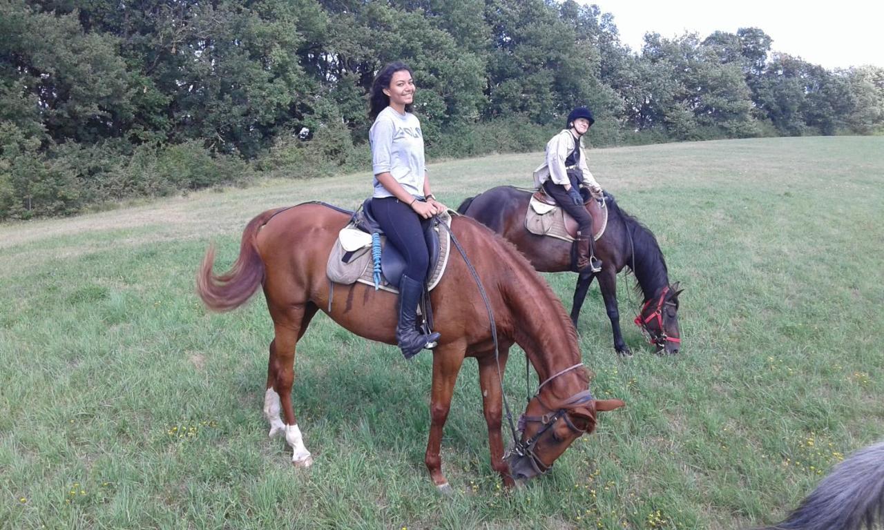 PaillolesFerme Equestre Des Abrons别墅 外观 照片